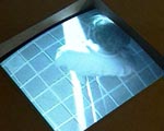Videostill