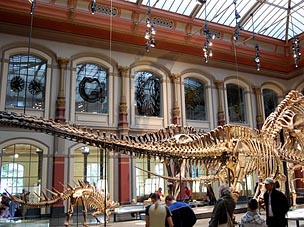 Naturkundemuseum